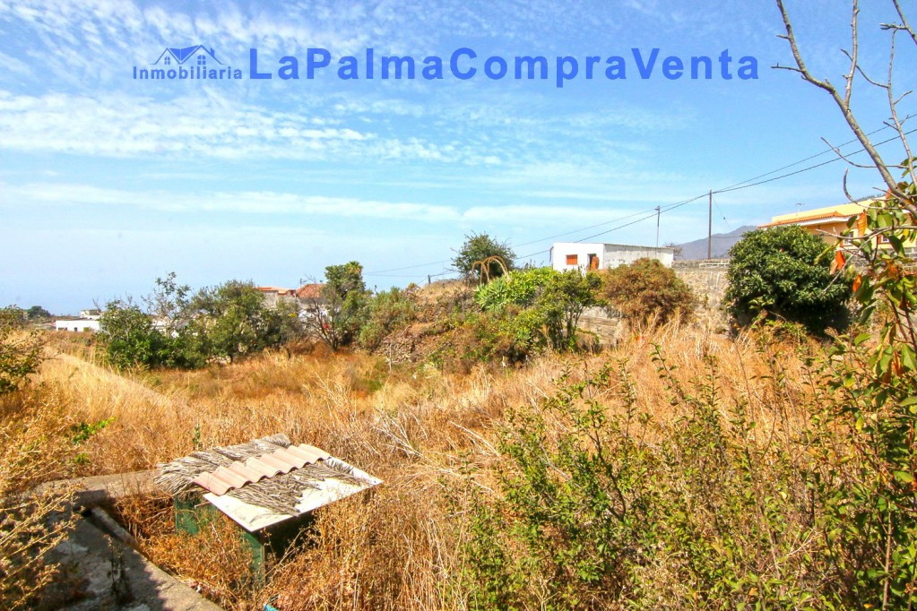 Casa-Chalet en Venta en Paso, El Santa Cruz de Tenerife - foto 4