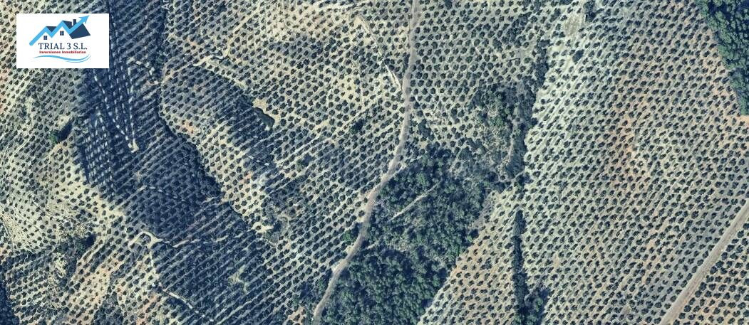 Venta Terreno en  Villacarrillo - Jaén