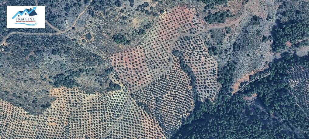 Venta de Terreno en Cambil (Jaén)