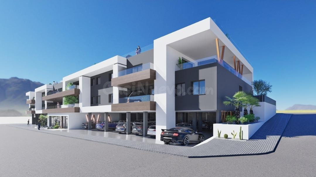 OBRA NUEVA EN BENIJOFAR