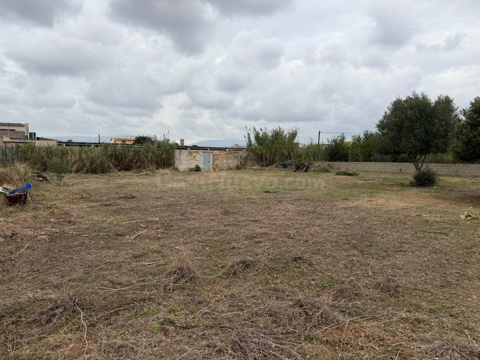 Parcela Rustica en Son Bonet. - foto 3
