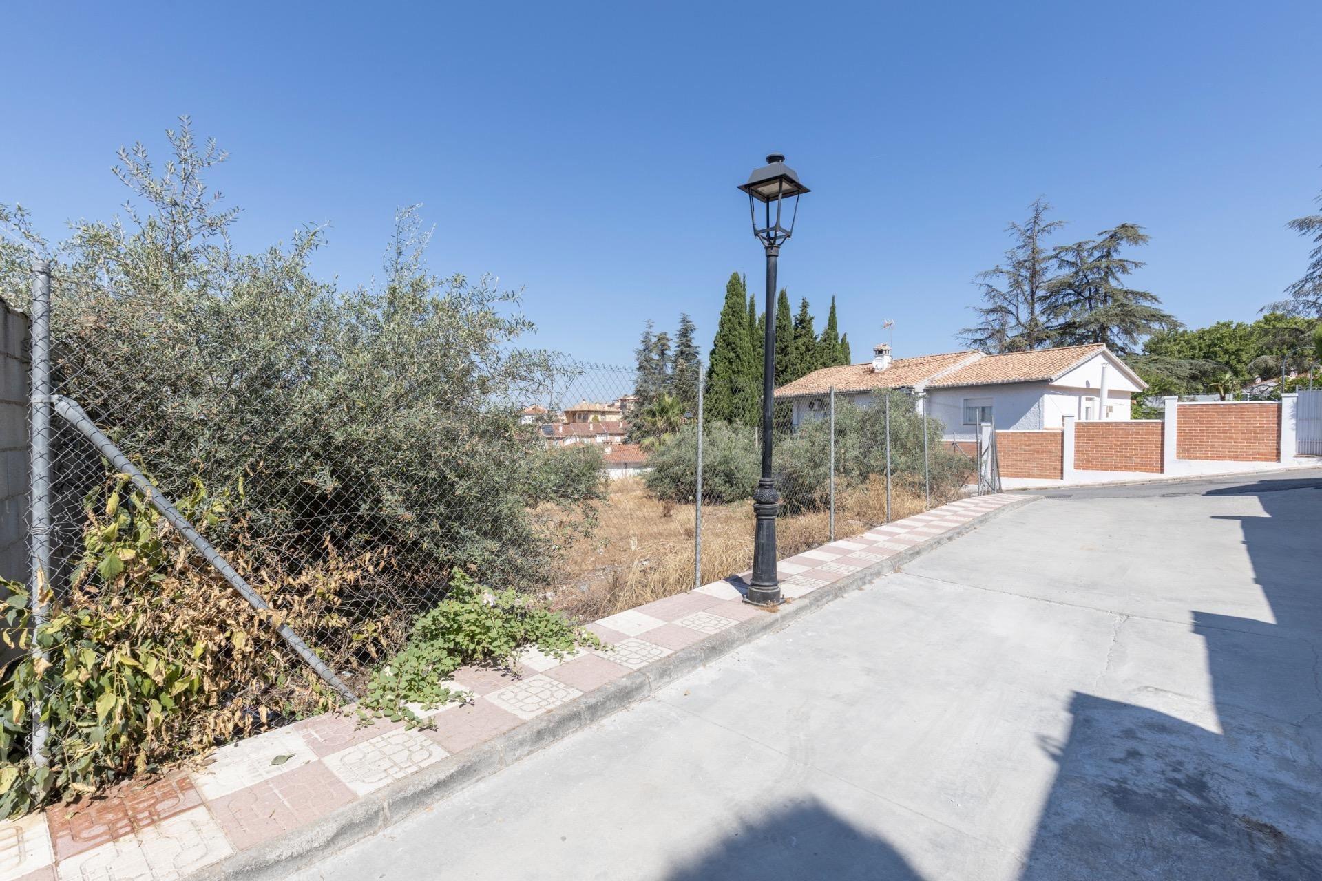 ¡Construya el proyecto que siempre ha imaginado en pleno cor - foto 2