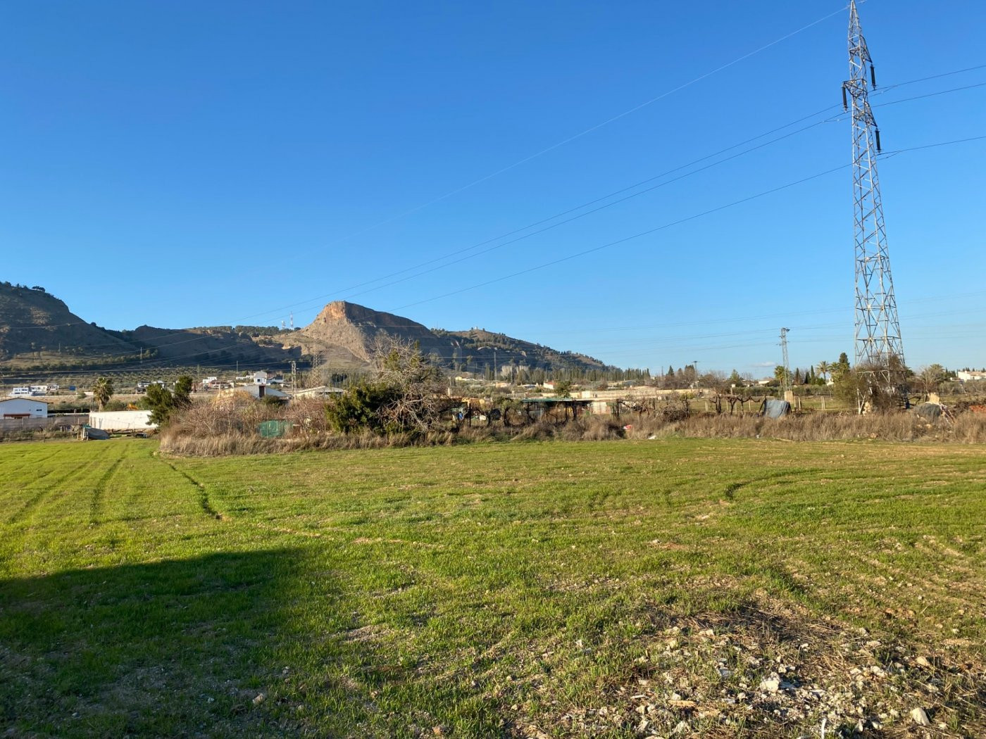 VENTA DE TERRENO RUSTICO URBANIZABLE  DEL TERMINO MUNICIPAL  - foto 3