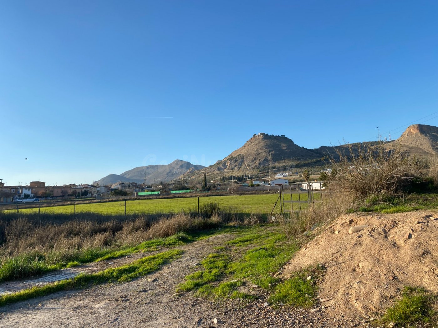 VENTA DE TERRENO RUSTICO URBANIZABLE  DEL TERMINO MUNICIPAL  - foto 4