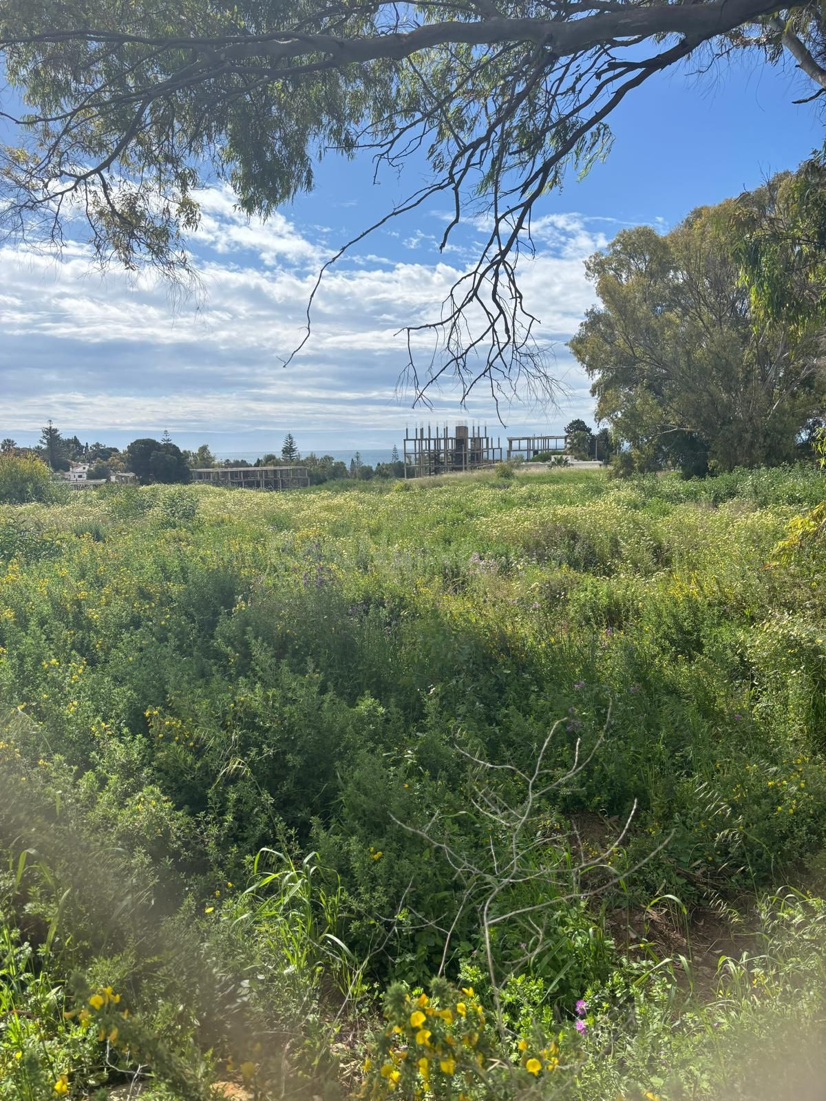 Terreno para desarrollo en Playa Bella, Estepona (Costa del Sol)