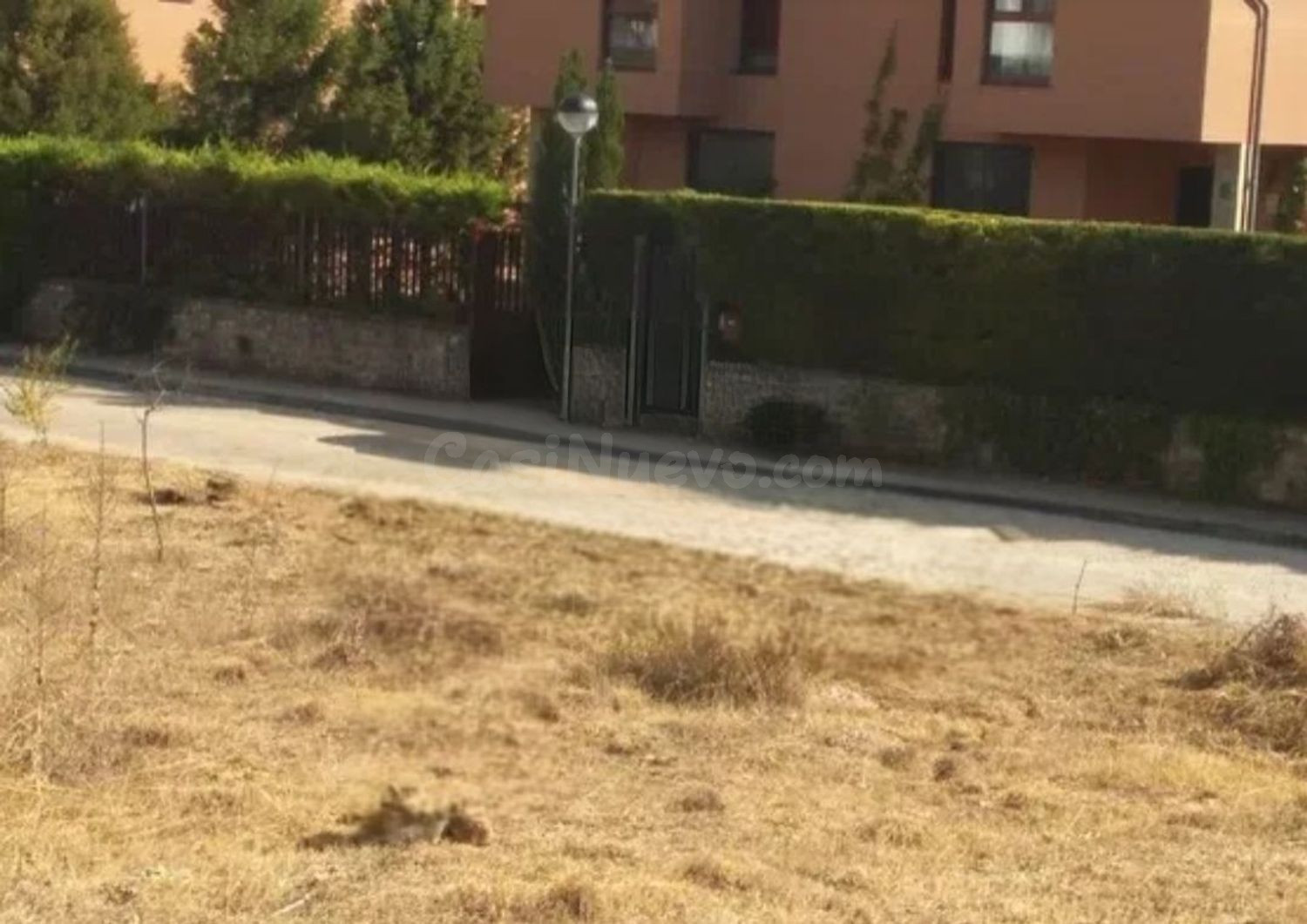 Parcela 250m² en venta - Covarrubias - foto 2