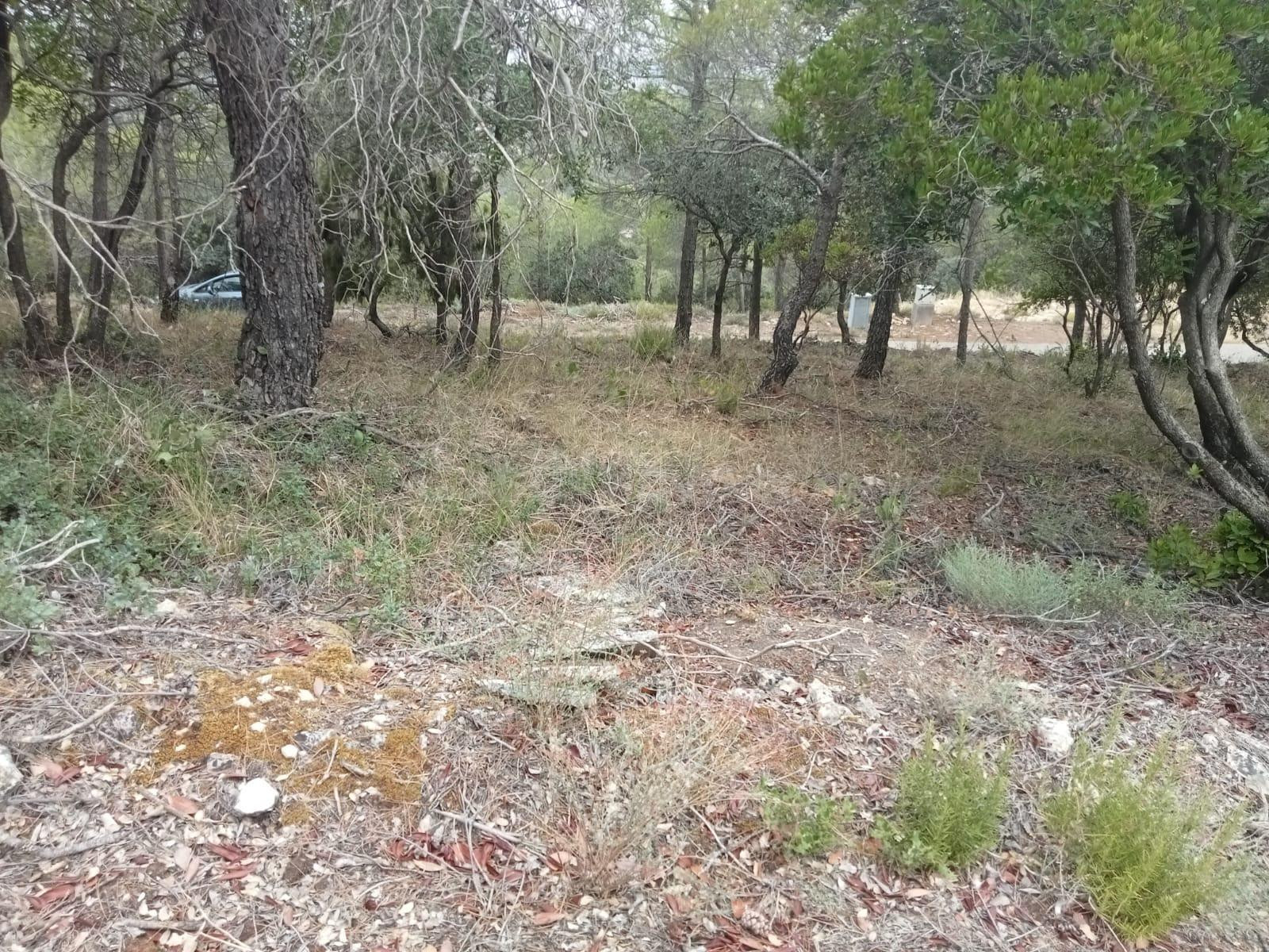 Parcela de 801m2 prácticamente llana, con muy buenas vistas