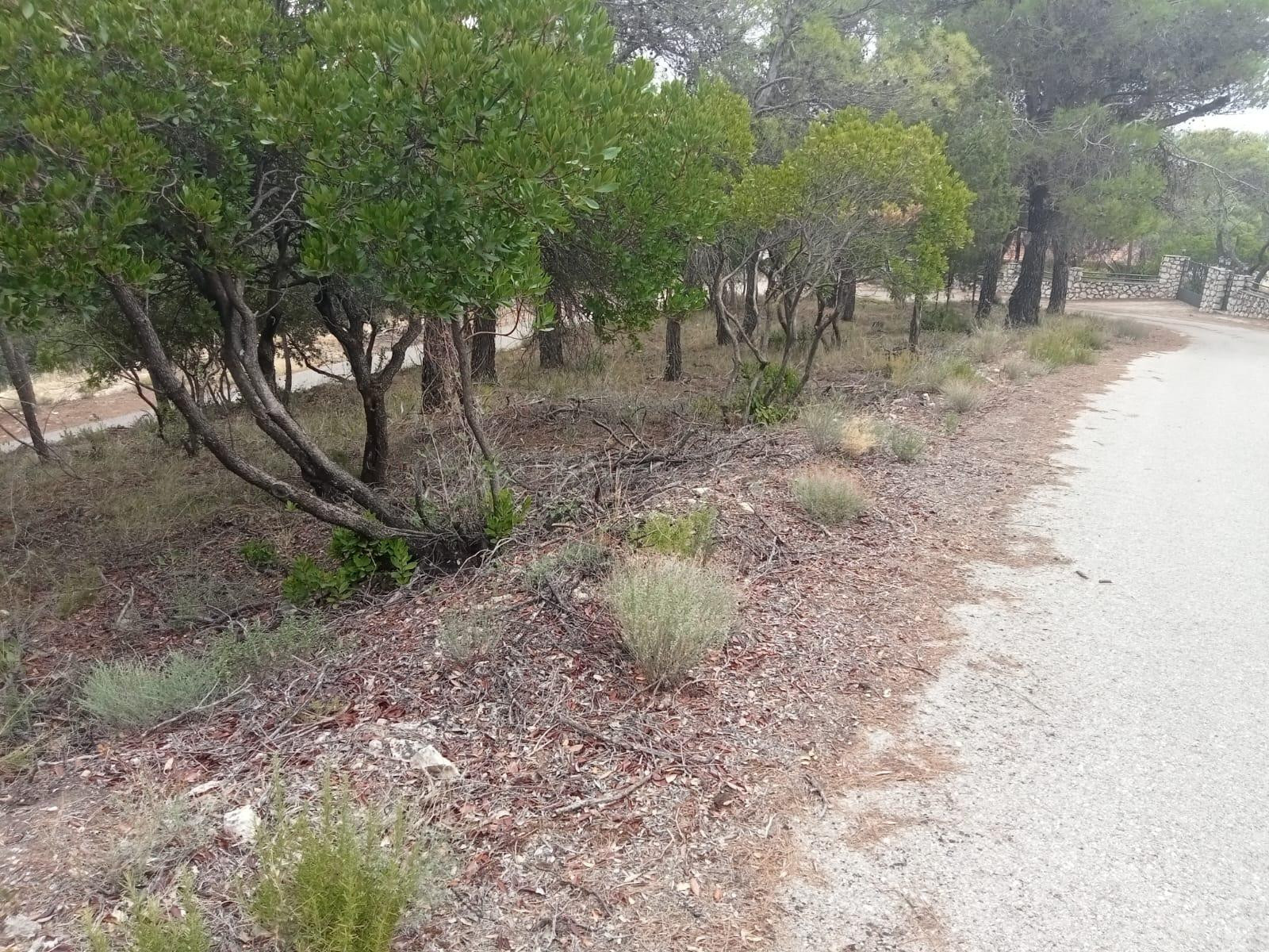 Parcela de 801m2 prácticamente llana, con muy buenas vistas - foto 2
