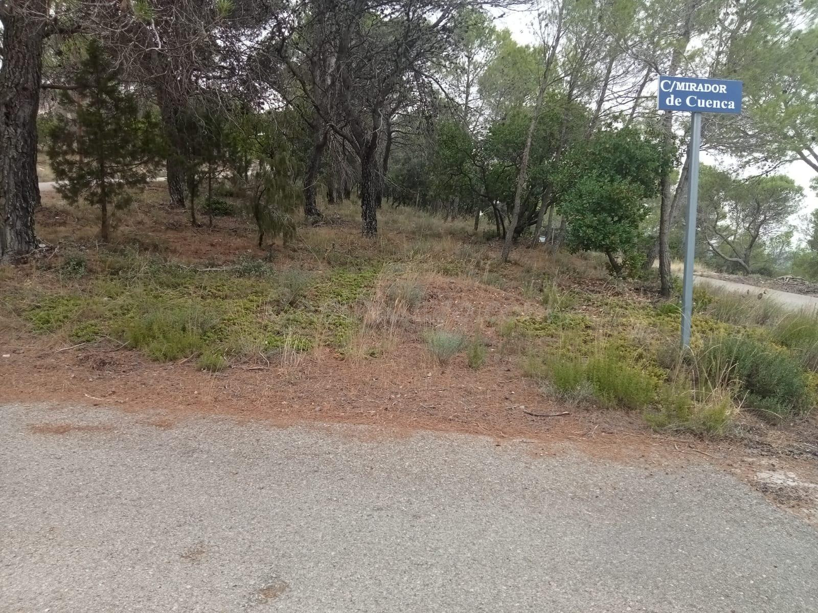 Parcela de 801m2 prácticamente llana, con muy buenas vistas - foto 3