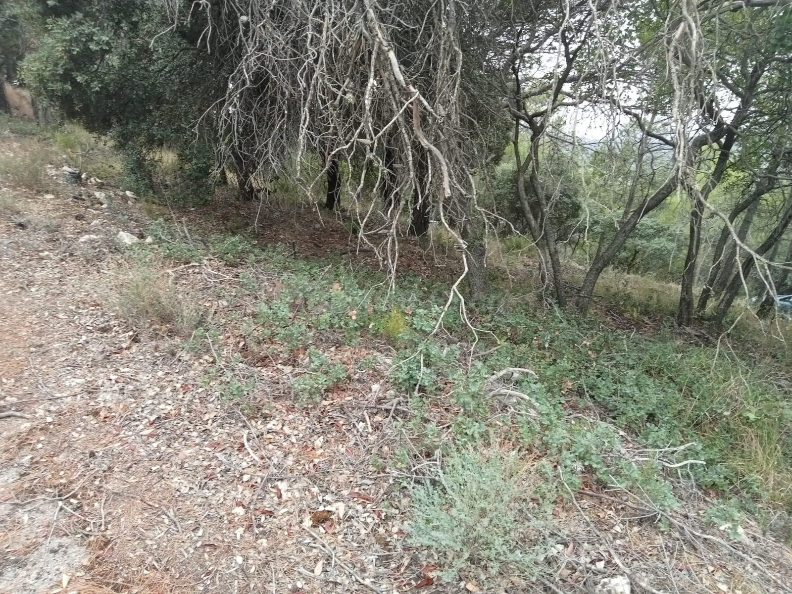 Tegeisa vende parcela de 821m2, con buenas vistas - foto 2