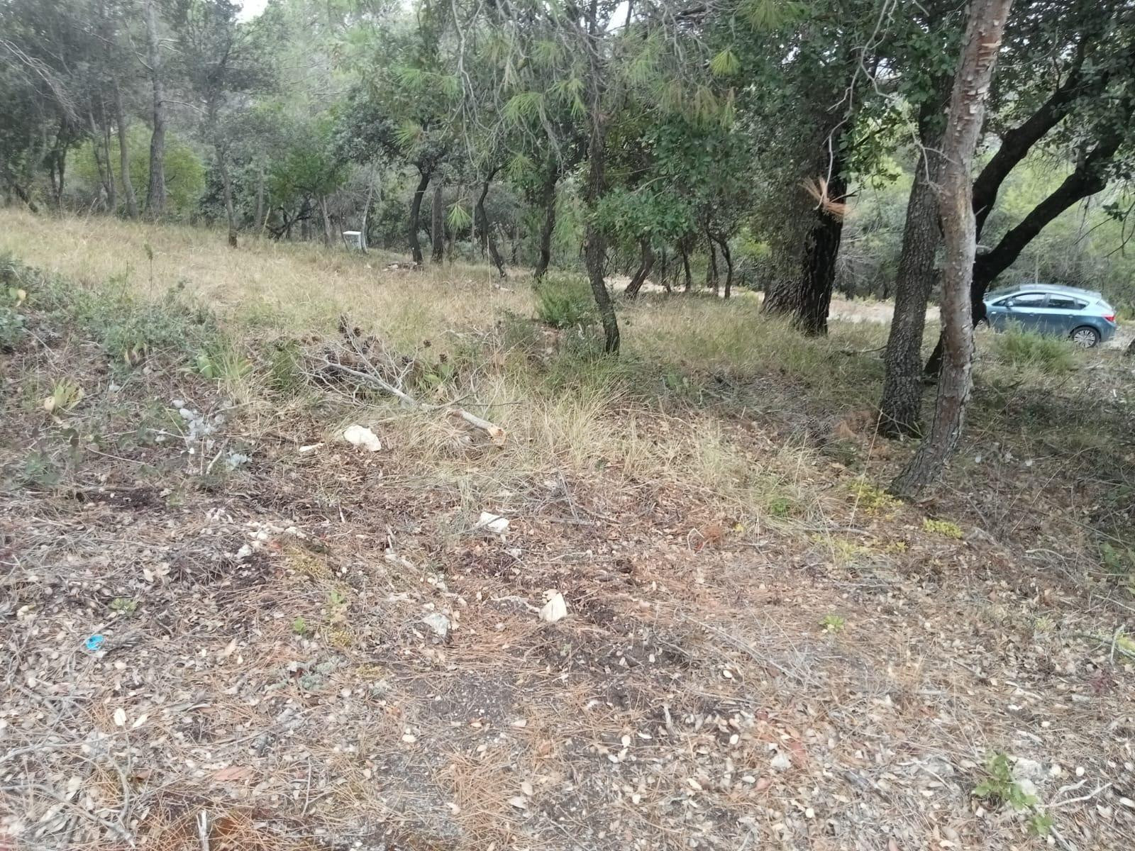 Tegeisa vende parcela de 821m2, con buenas vistas - foto 4