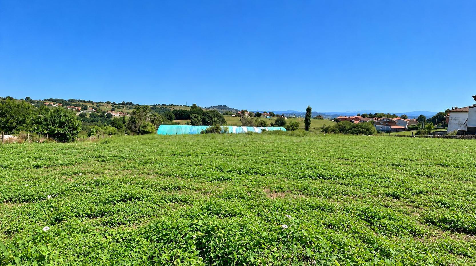 TERRENO URBANO DE 4.021 m2 EN REOCÍN – EXCELENTE OPORTUNIDAD PARA PROMOTORES E INVERSORES.-