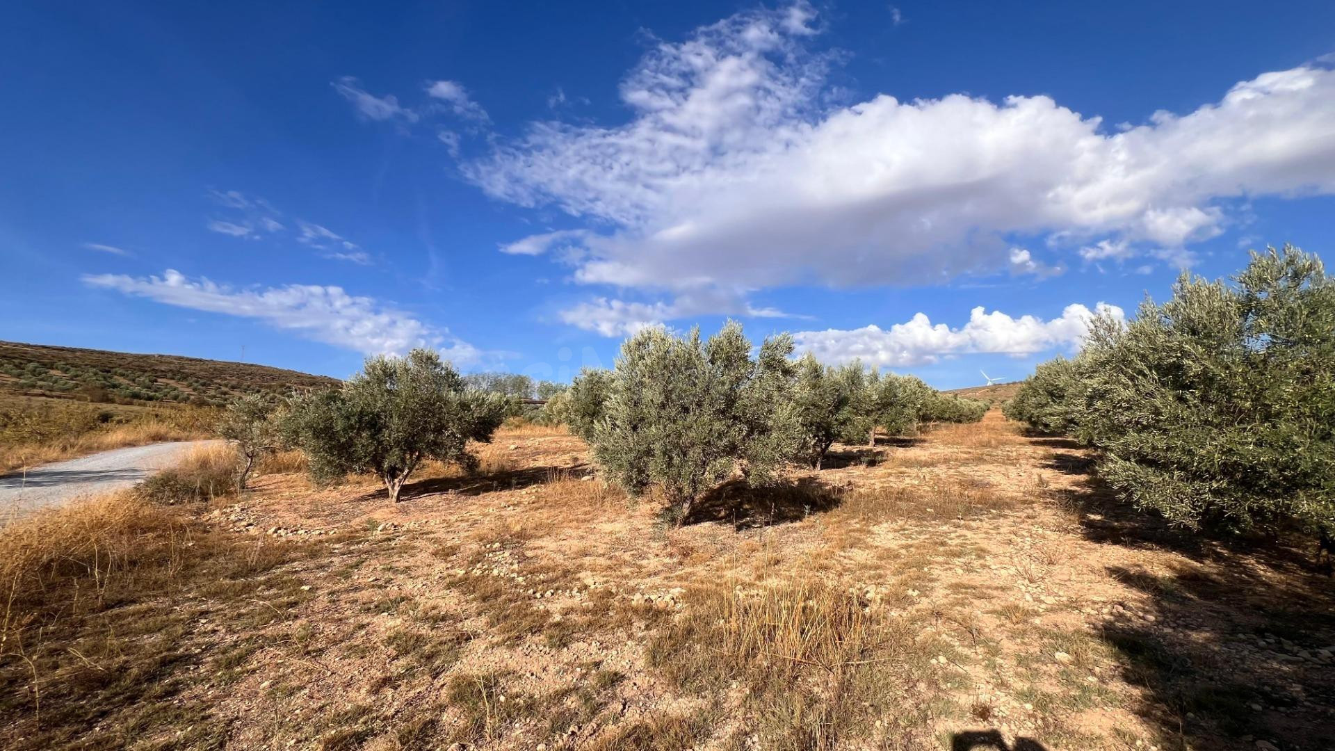Excelente oportunidad: Finca rústica de 2 hectáreas con 300 