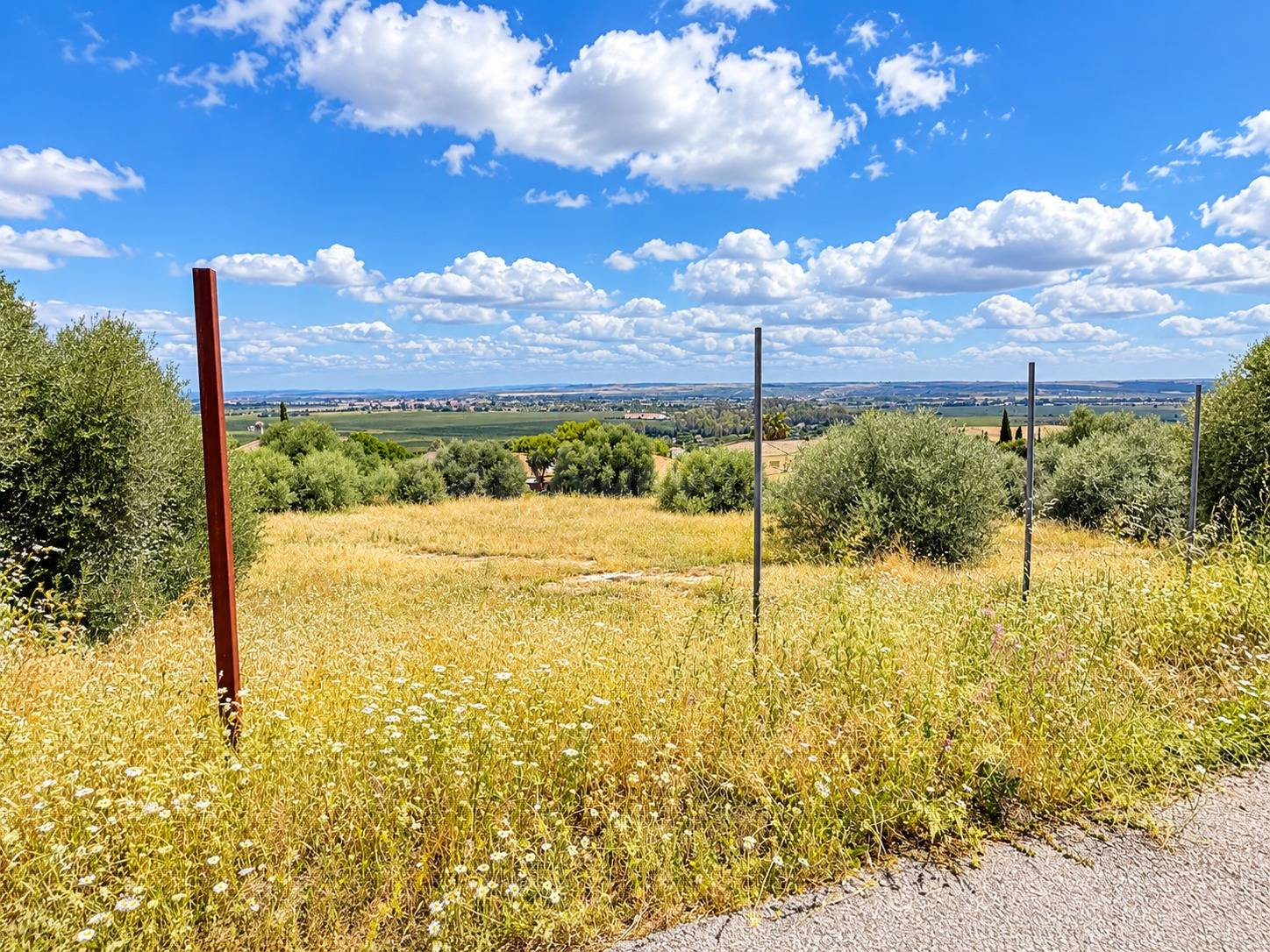 2.089 m2 DE ESPACIO, NATURALEZA Y UNAS VISTAS QUE HABLAN POR - foto 2