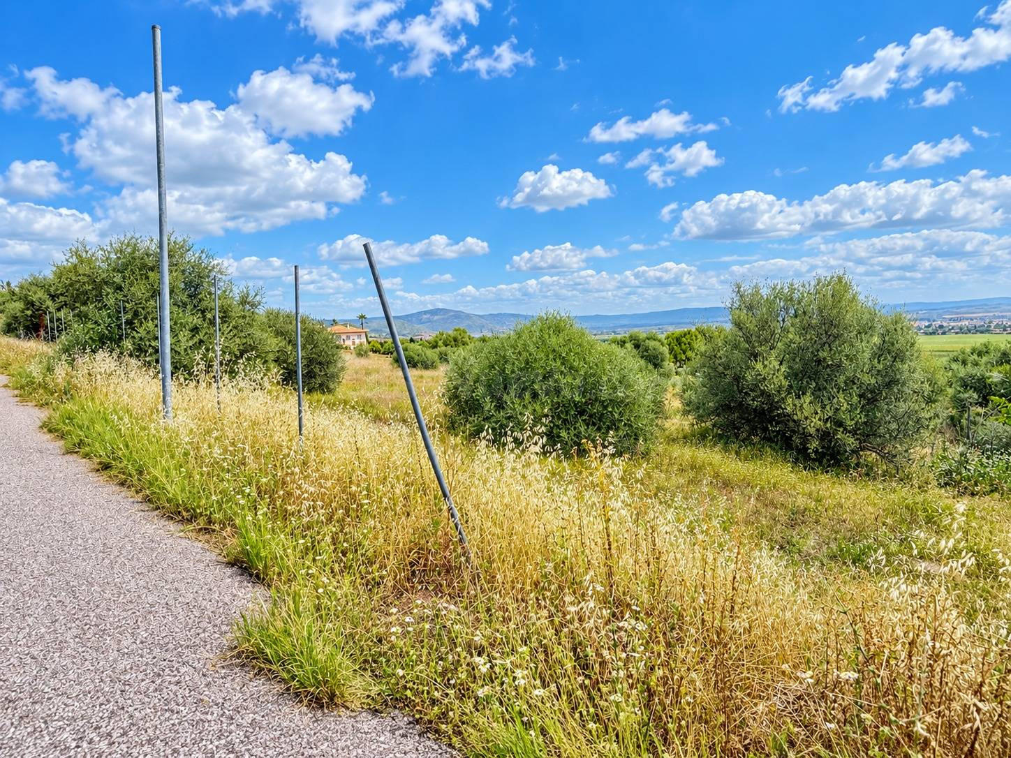 2.089 m2 DE ESPACIO, NATURALEZA Y UNAS VISTAS QUE HABLAN POR - foto 5