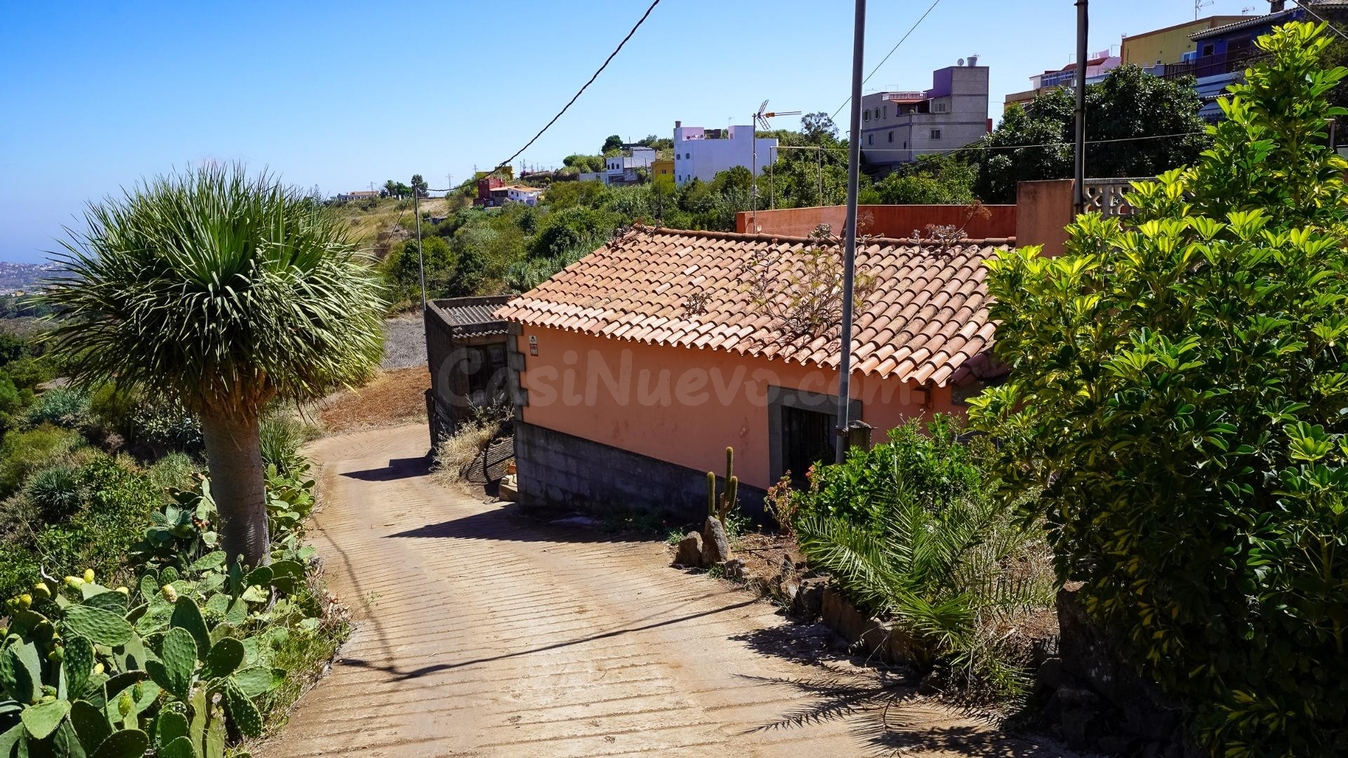 CASA REFORMADA CON AMPLIO TERRENO EN LA SOLANA, SAN MATEO