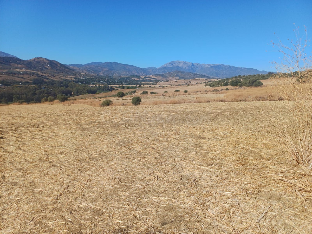 Finca rústica en venta Coín Costa del Sol