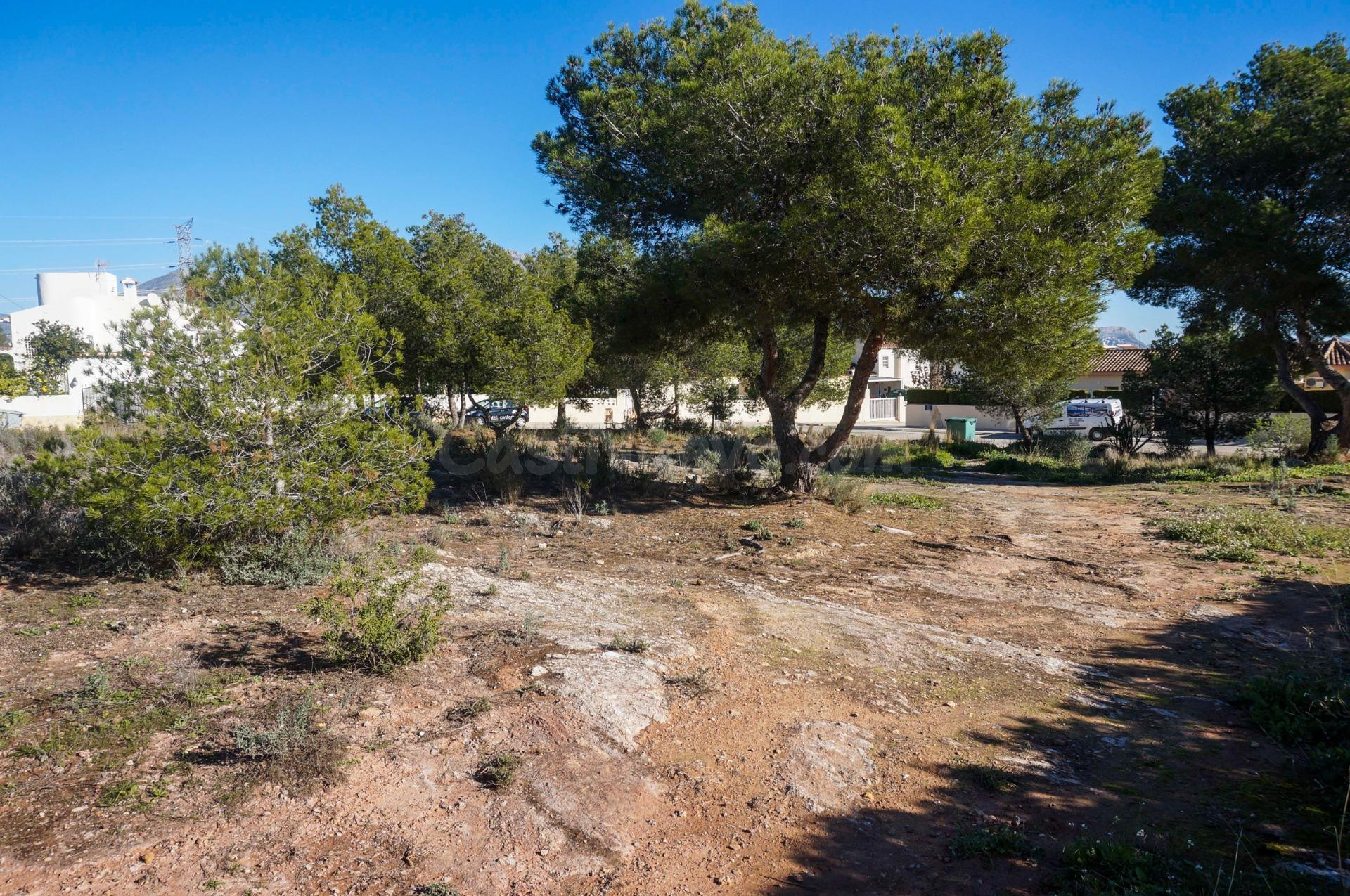 Parcela en venta - El Tossal-Bello Horizonte - foto 2