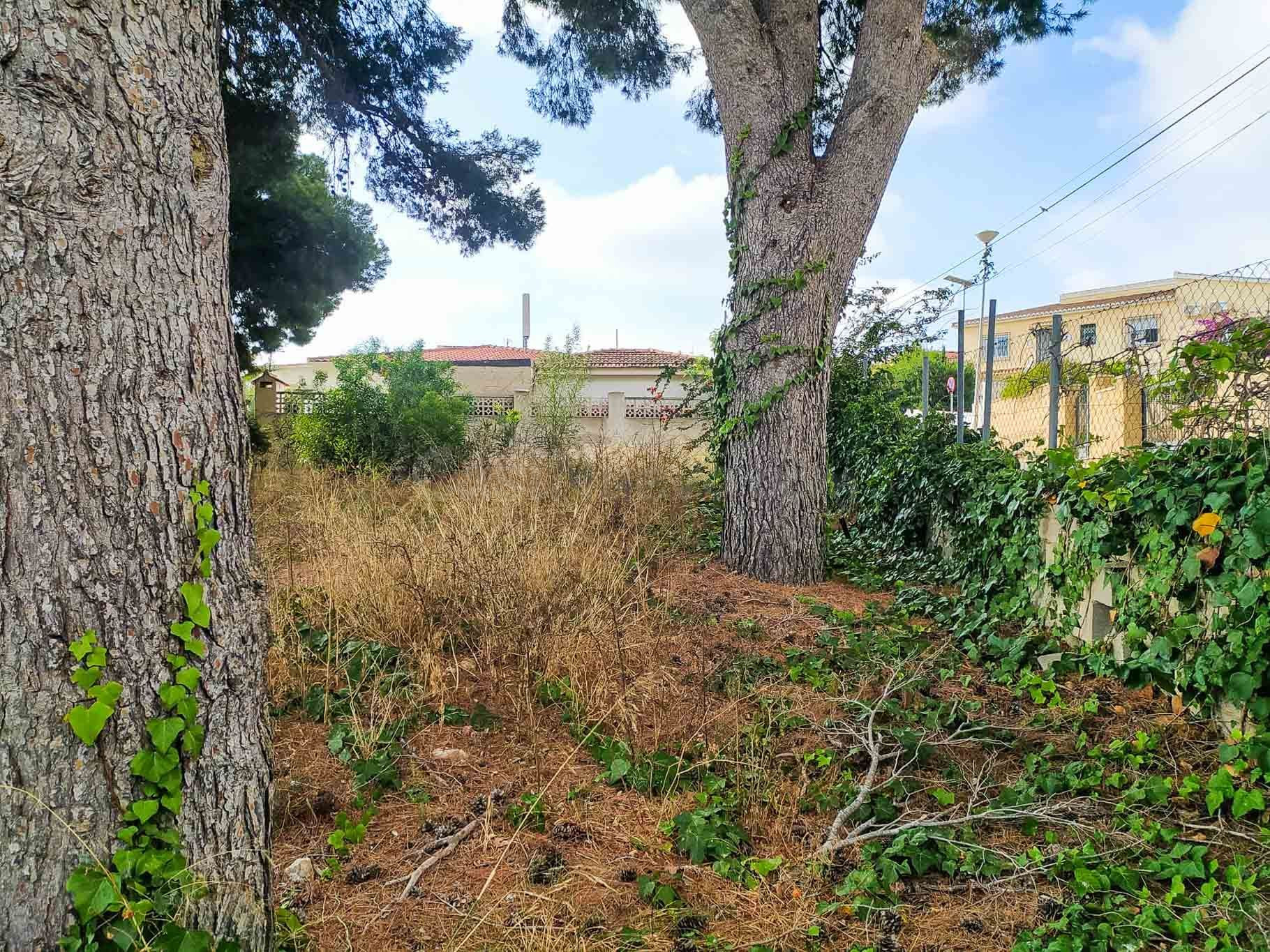 Parcela en venta - Escandinavia - foto 4