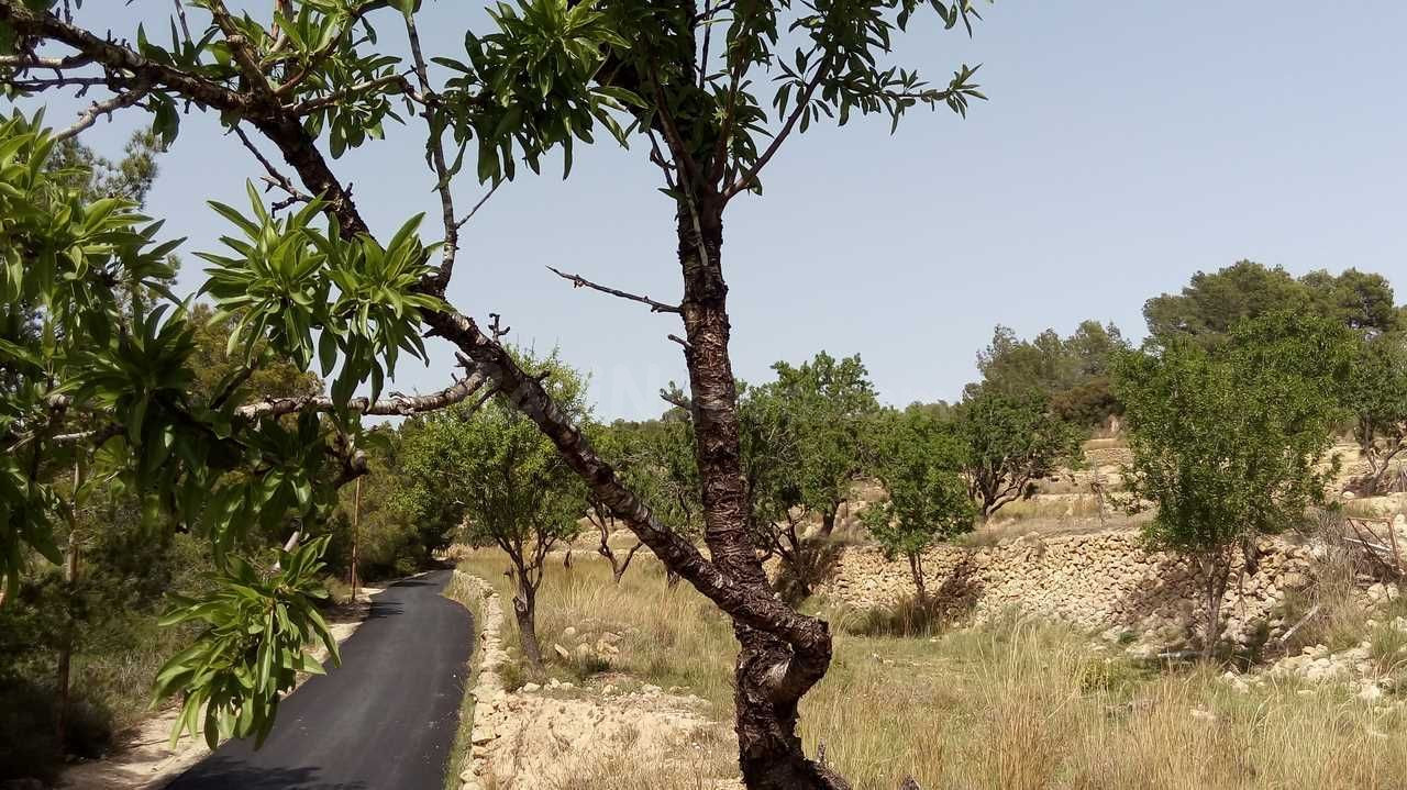 Parcela en venta - Benissa pueblo - foto 5