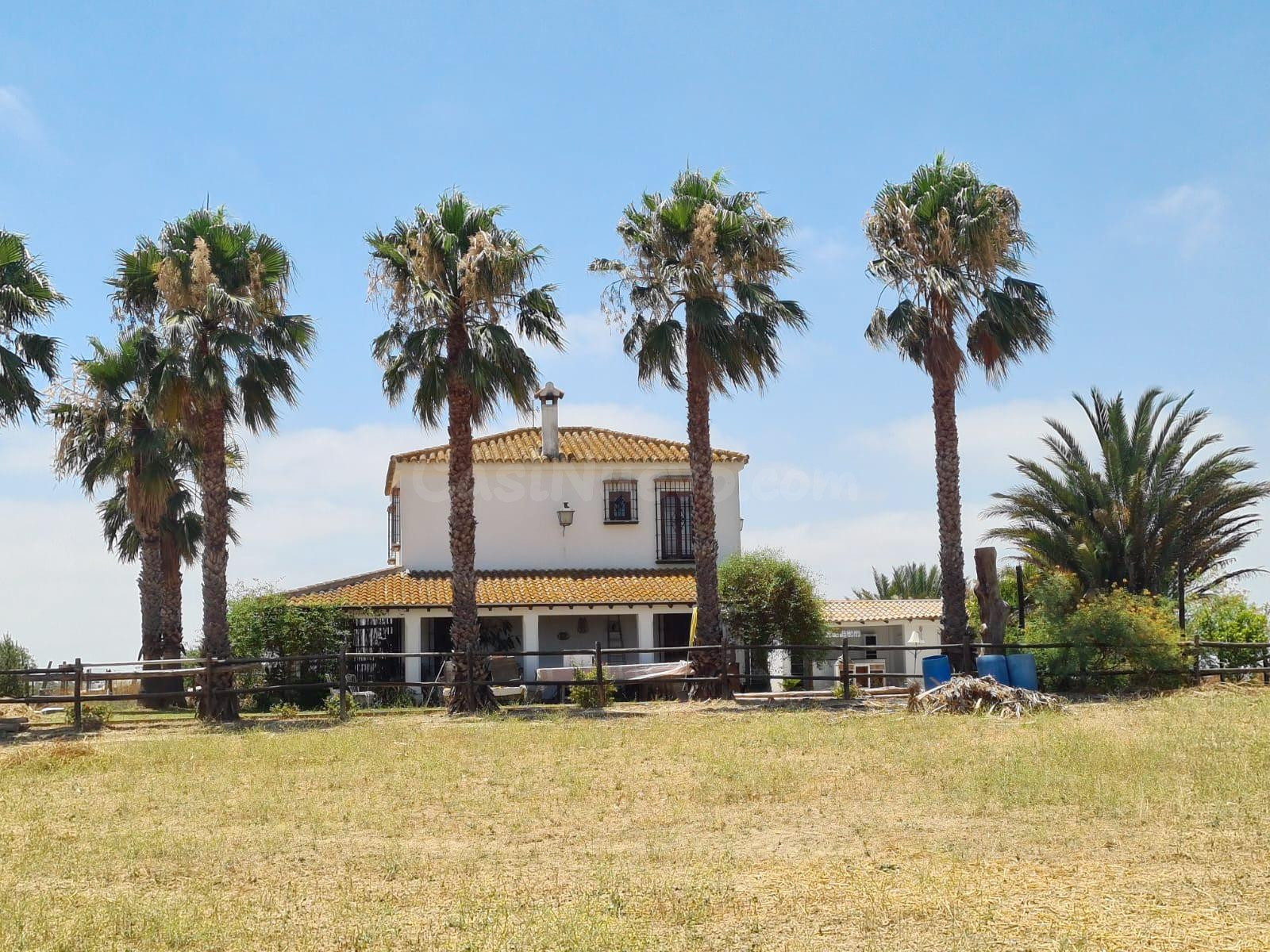 Espectacular finca de 19.000 m2 con 2 casas en Moguer (Huelva)