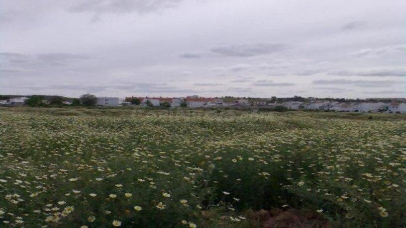 SUELO EN VENTA EN CARRIÓN DE LOS CÉSPEDES.