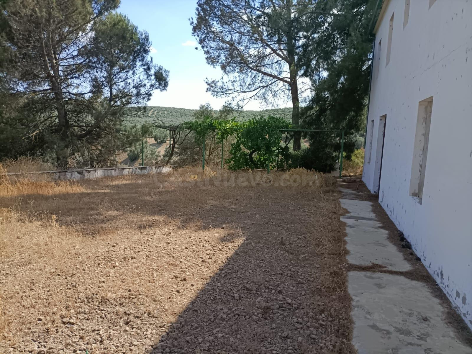 Venta de 'Cortijo del Enamorado' en Lucena - Córdoba - foto 2
