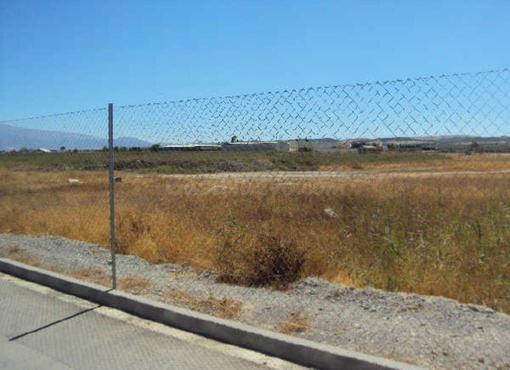 Venta de suelo Urbanizable en Chauchina - Granada - foto 2