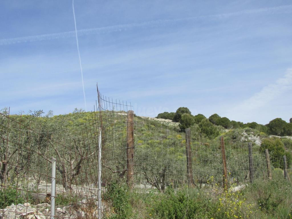 Venta de Suelo no urbanizable (Agrícola invernado/inervable) - foto 3