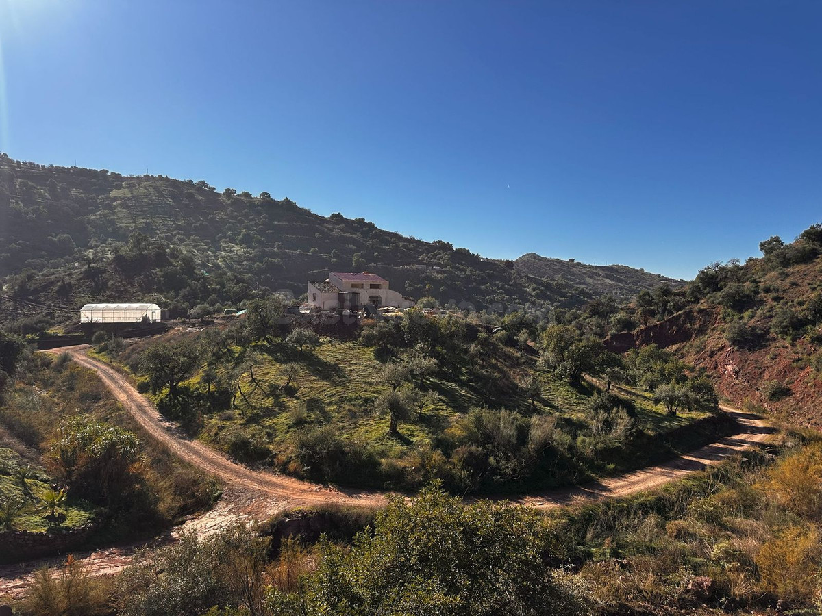 Parcela en venta - Sotogrande - Alto - foto 2