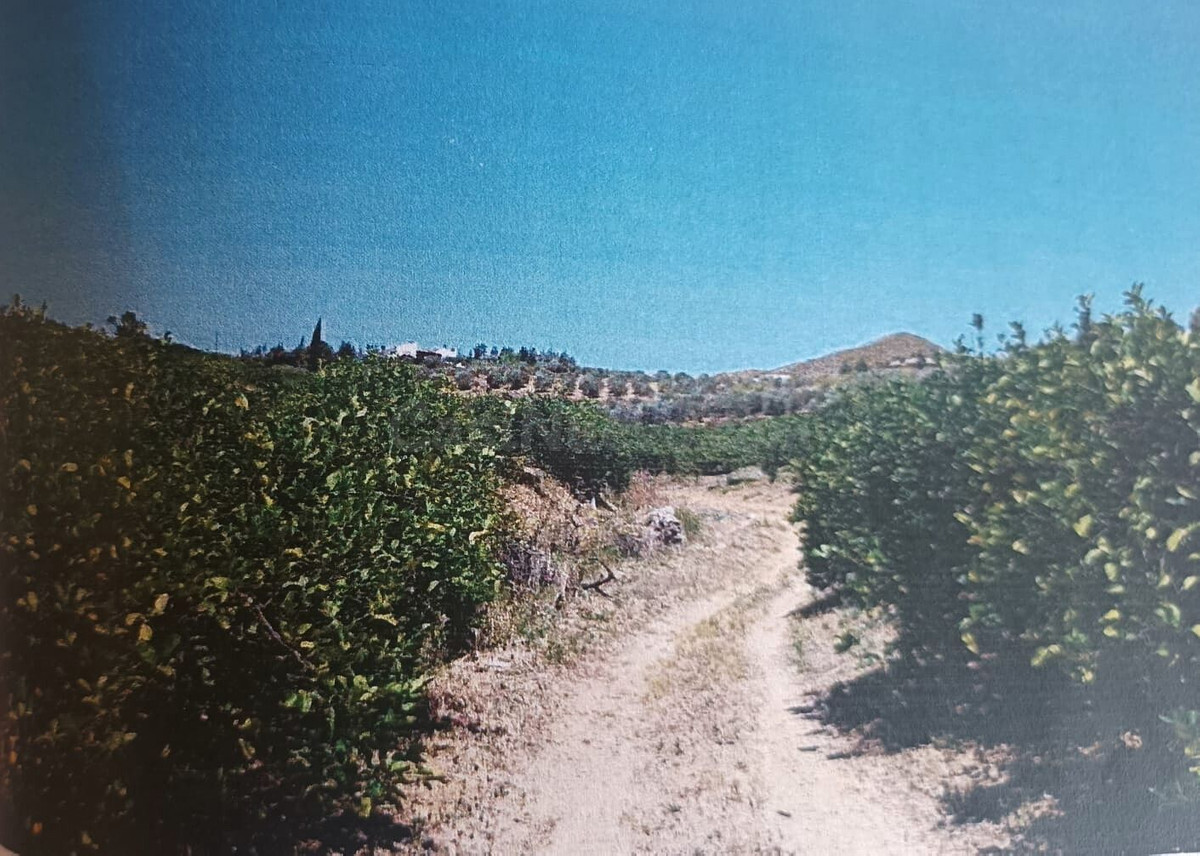 Parcela en venta - Alora pueblo - foto 2
