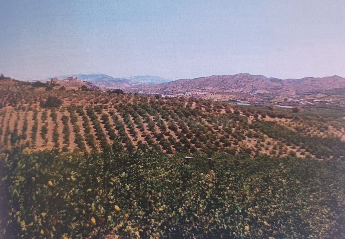 Parcela en venta - Alora pueblo - foto 4