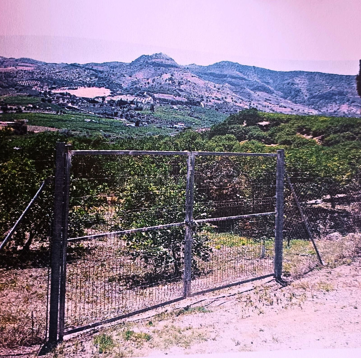 Parcela en venta - Alora pueblo - foto 5