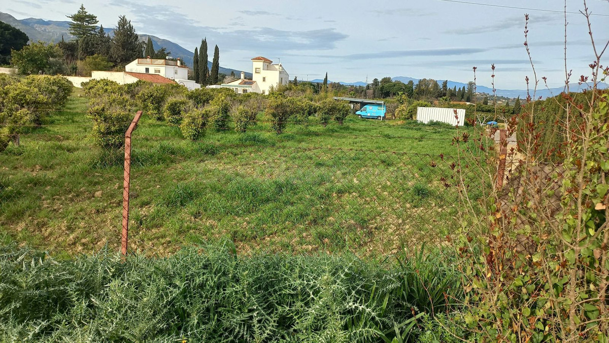 Terreno rústico de 3.413 m2 en Alhaurín de la Torre para proyectos rurales