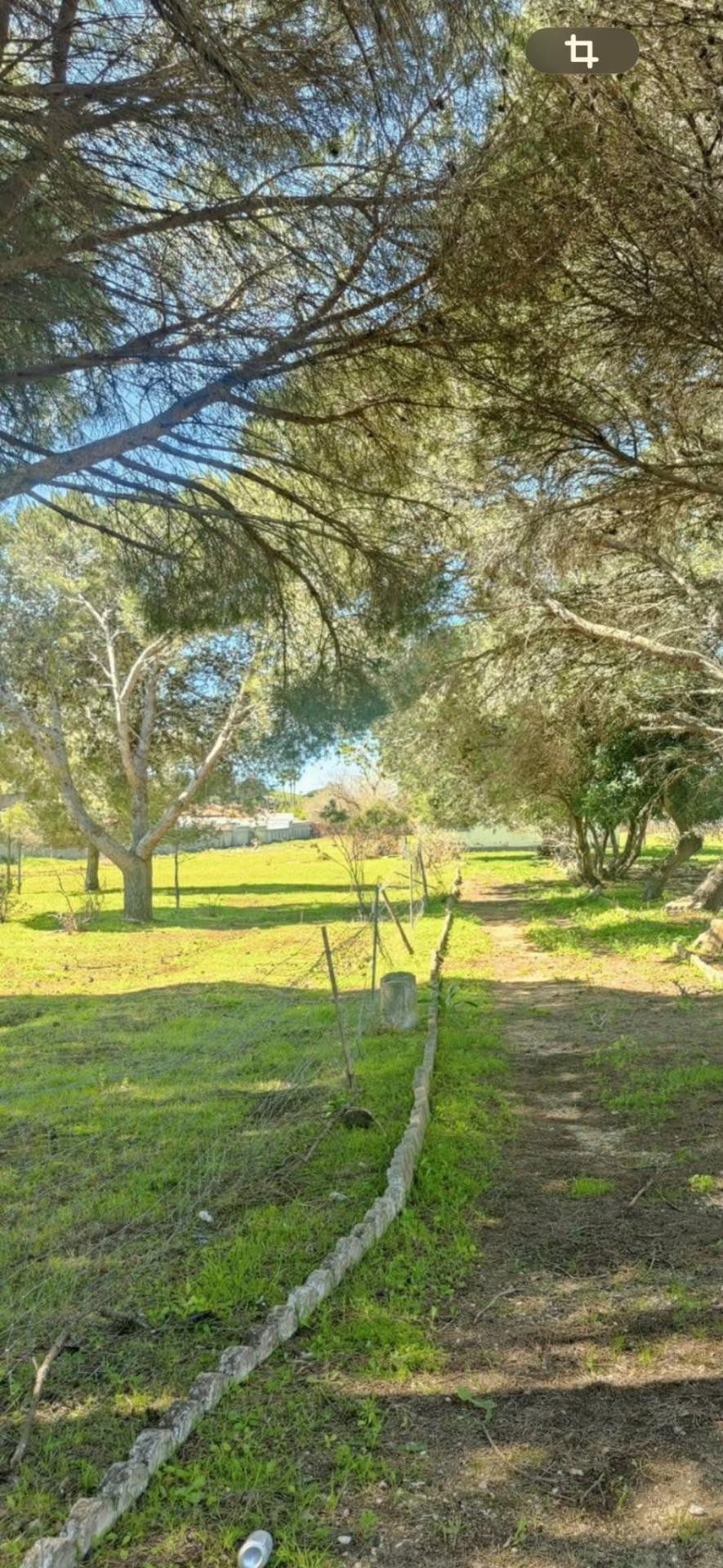 PARCELA  RUSTICA NO RUBANA SEGREGADA  JUNTO VENTA FLORENTINA