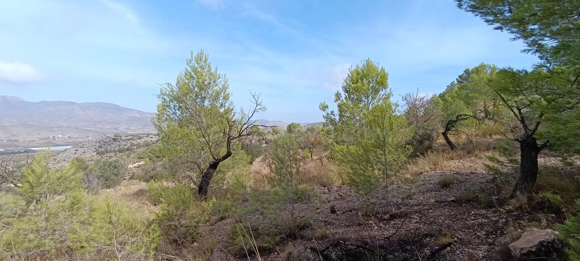 Encantadora Casa de Campo en Hondon de las Nieves - Oportunidad Única
