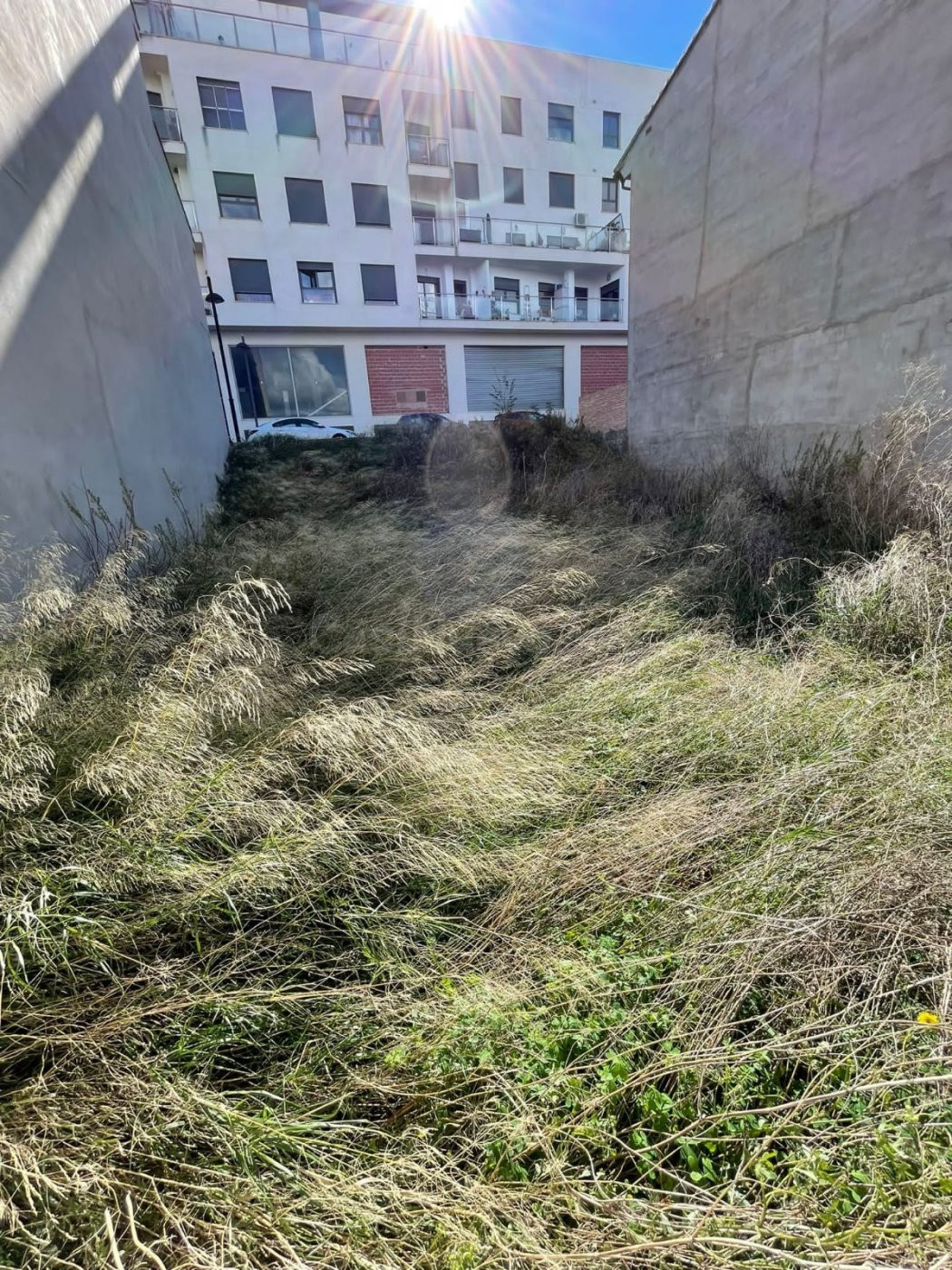 SOLAR EN TURIS DE 250M2 (ZONA CONSUM) 80.000€ - foto 2