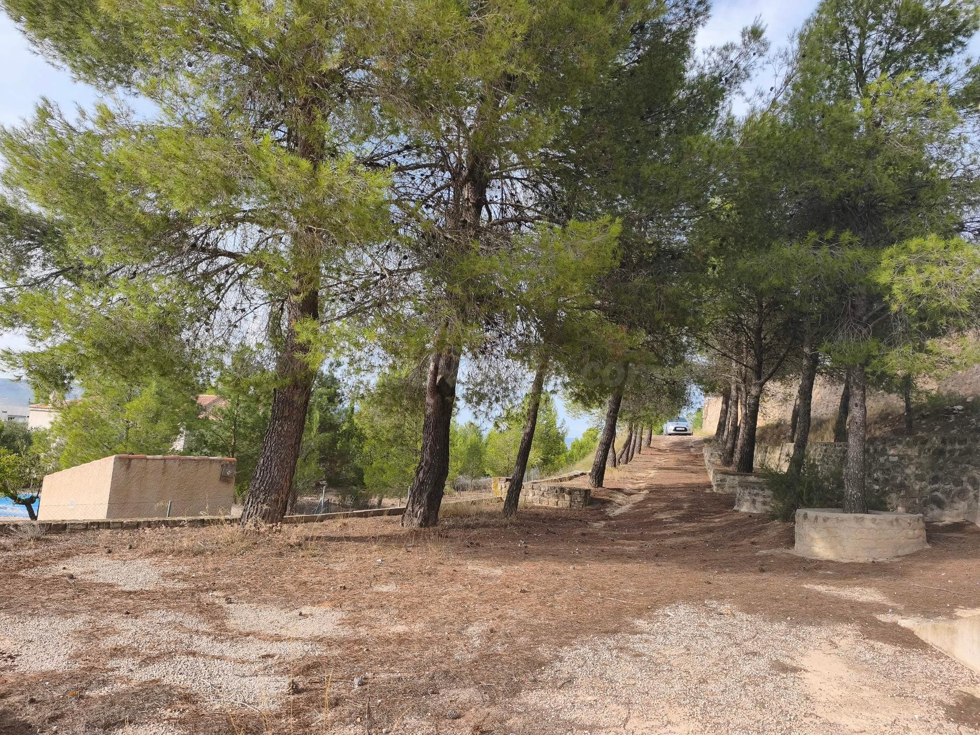 Terreno Rural en Almansa - San José a un Precio Inmejorable - foto 2