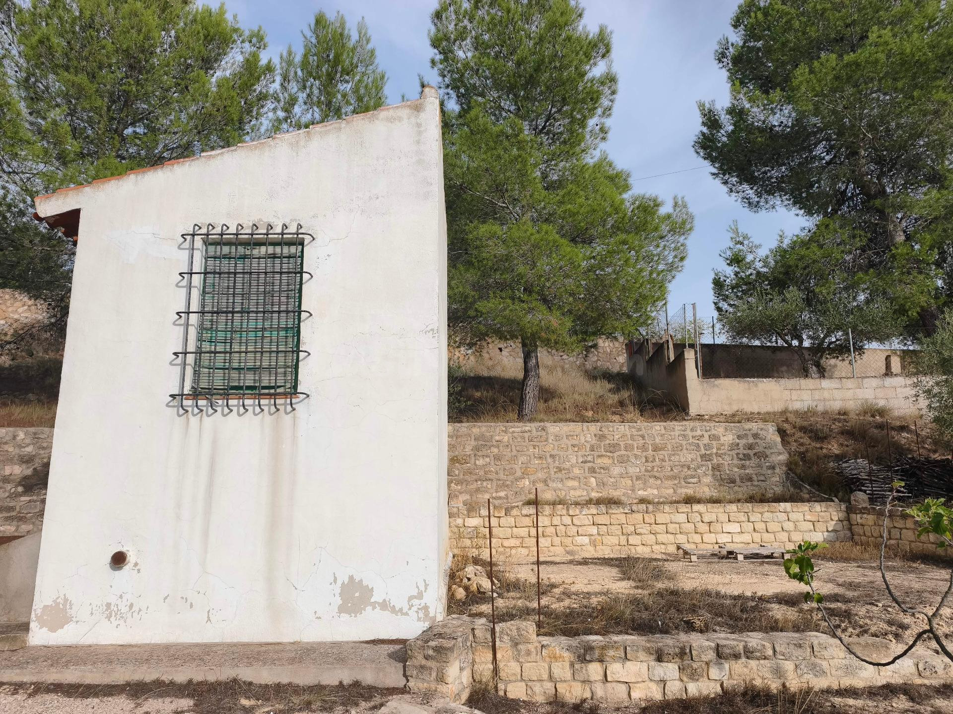 Terreno Rural en Almansa - San José a un Precio Inmejorable - foto 5
