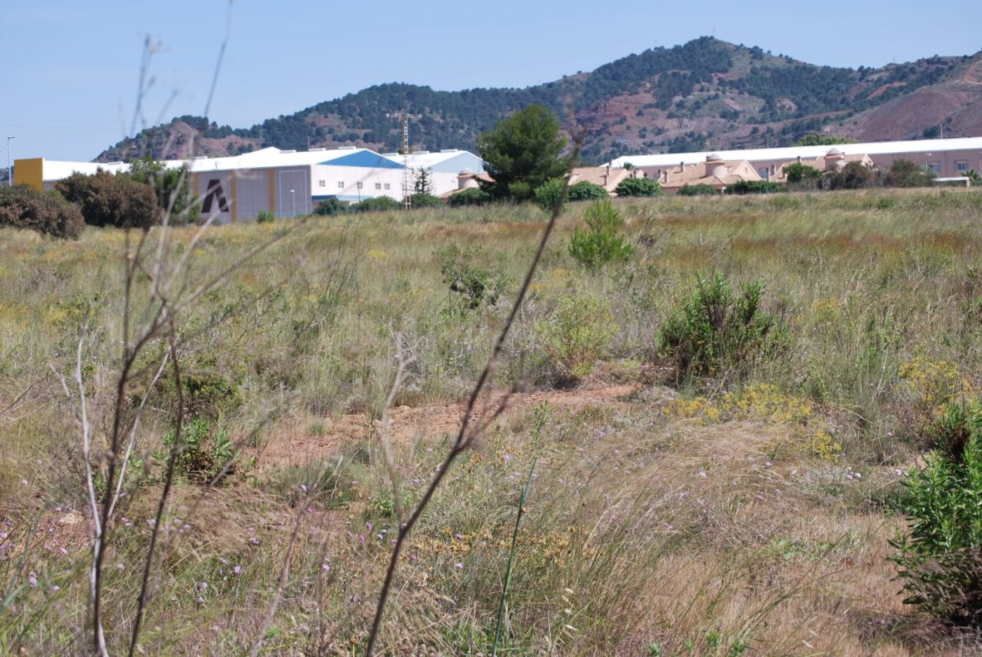 Terreno en Llano del Beal (Cartagena). - foto 4
