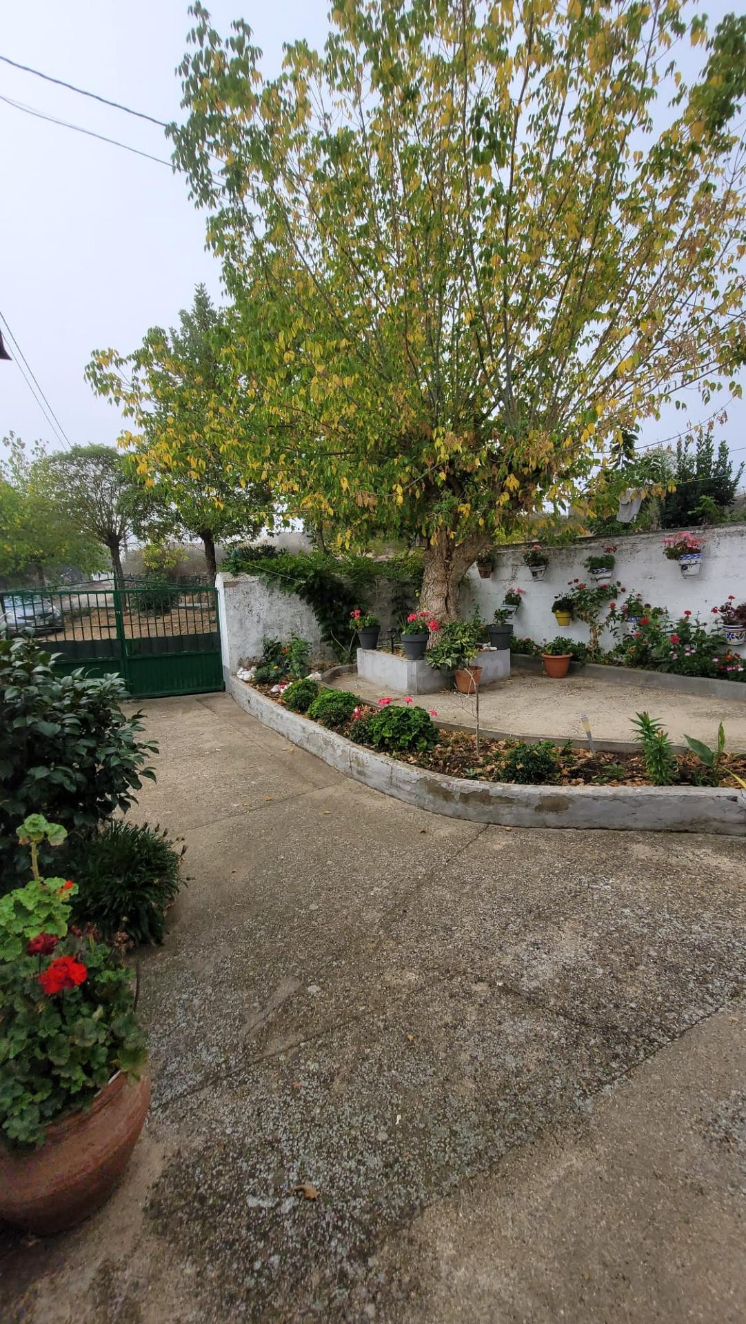 ¡¡¡CASA CON JARDIN EN VENTA EN FRADES DE LA SIERRA!!! - foto 4