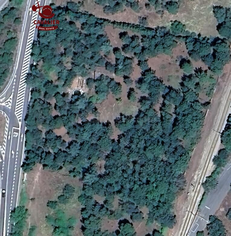 Terreno de 10.117m2 con vivienda de 75m2 rodeado de un preci