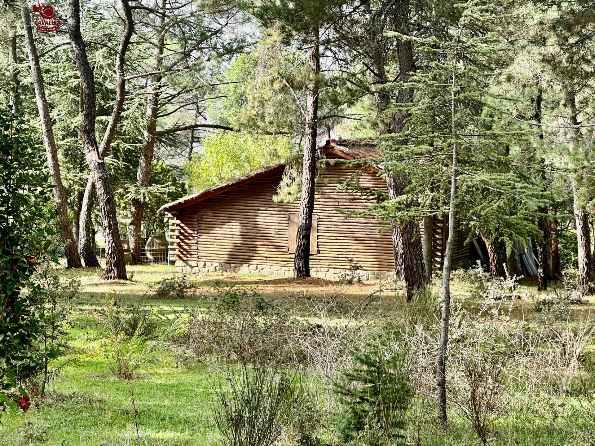 Terreno de 10.117m2 con vivienda de 75m2 rodeado de un preci - foto 3