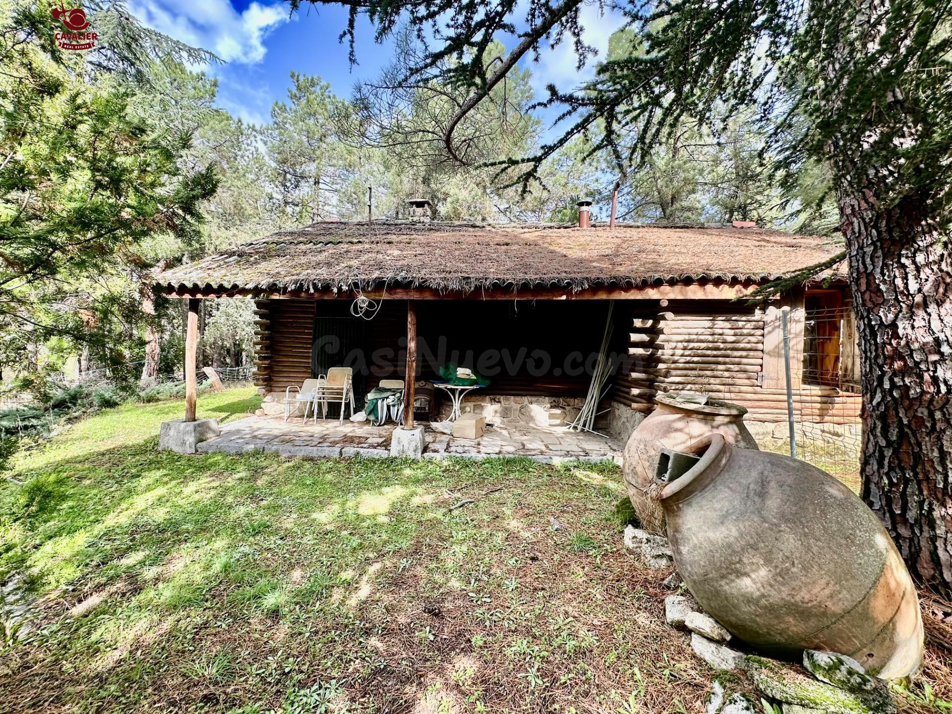 Terreno de 10.117m2 con vivienda de 75m2 rodeado de un preci - foto 4
