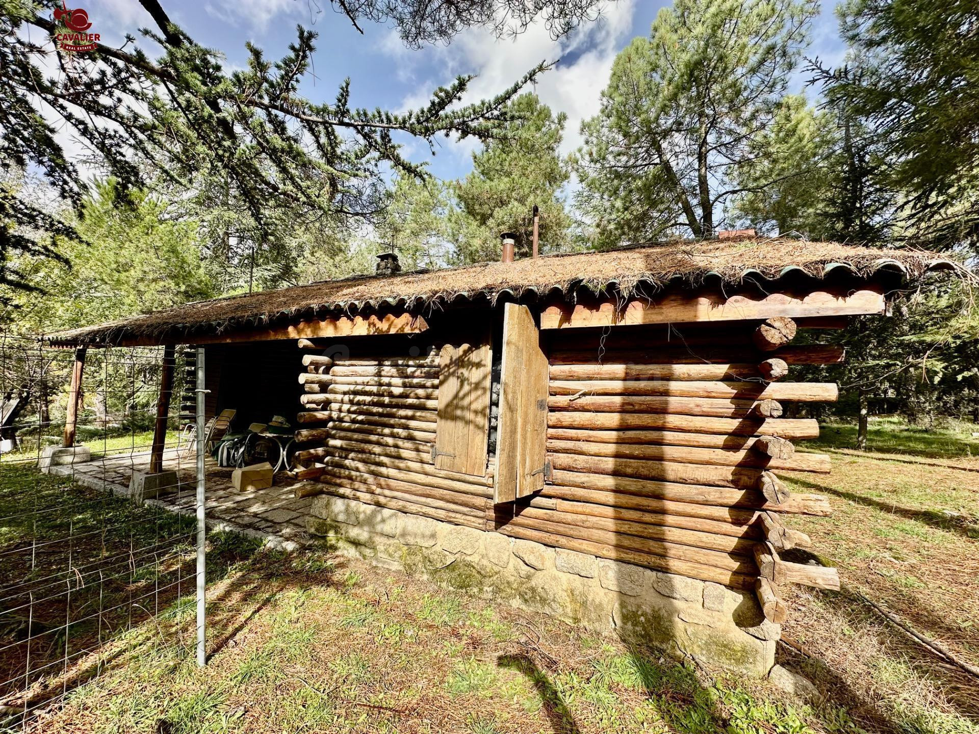Cabaña de 75m2 rodeada de un precioso bosque en terreno urba - foto 3