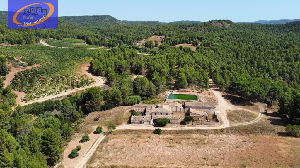 EN VENTA FINCA DE VIÑEDOS EN COFRENTES DE 209 HECTAREAS