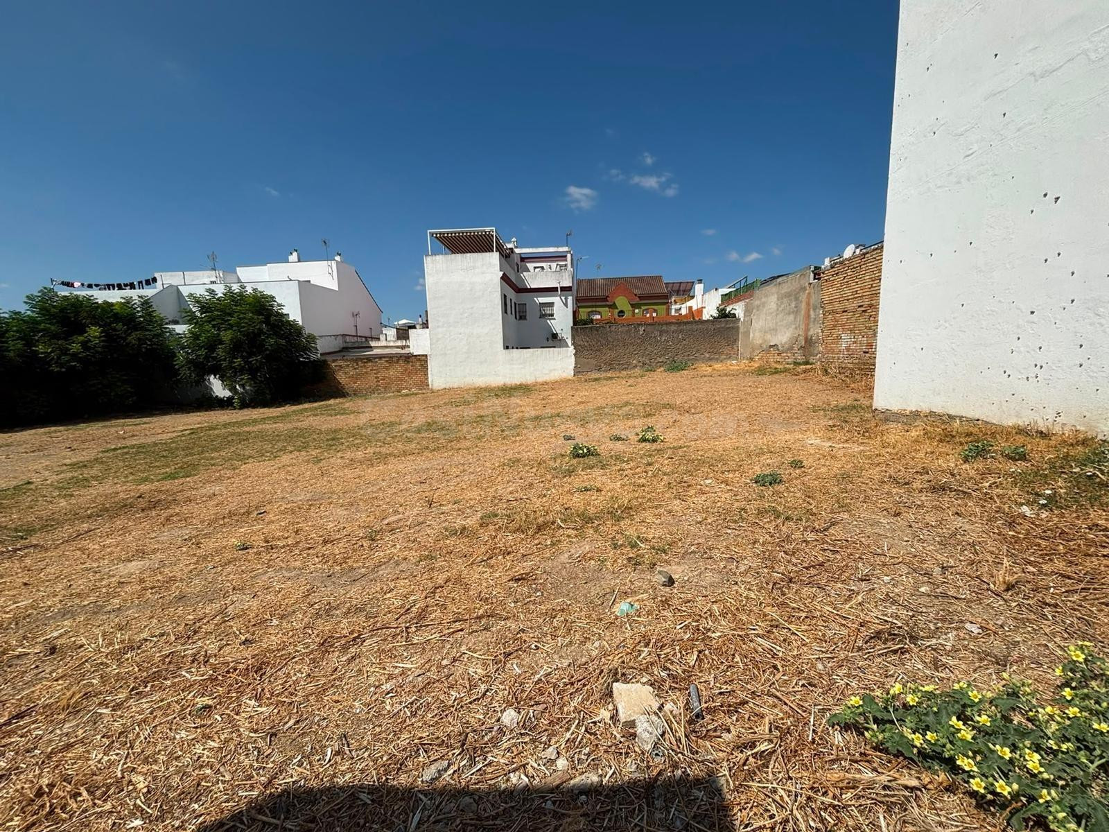 Terreno urbano - Bormujos - foto 5