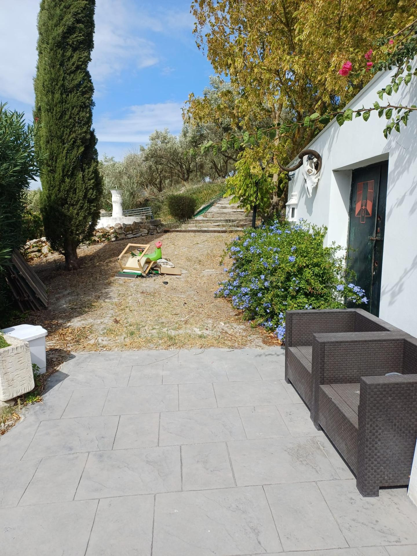 FINCA DE RECREO EN VENTA – PEDANÍA DE JEREZ - foto 3