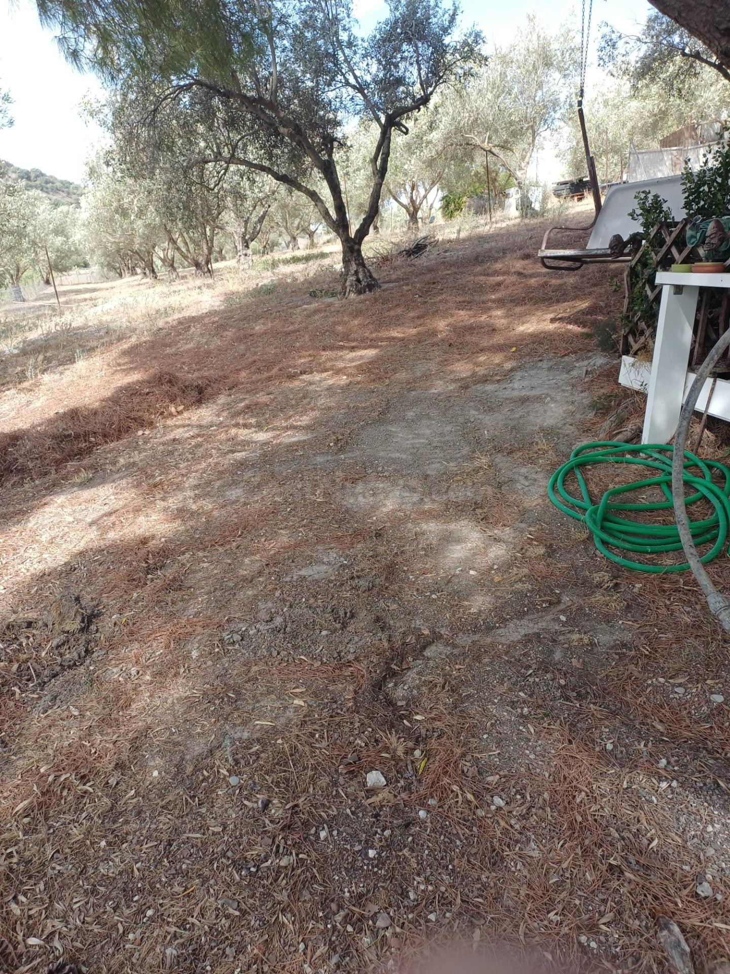FINCA DE RECREO EN VENTA – PEDANÍA DE JEREZ - foto 5