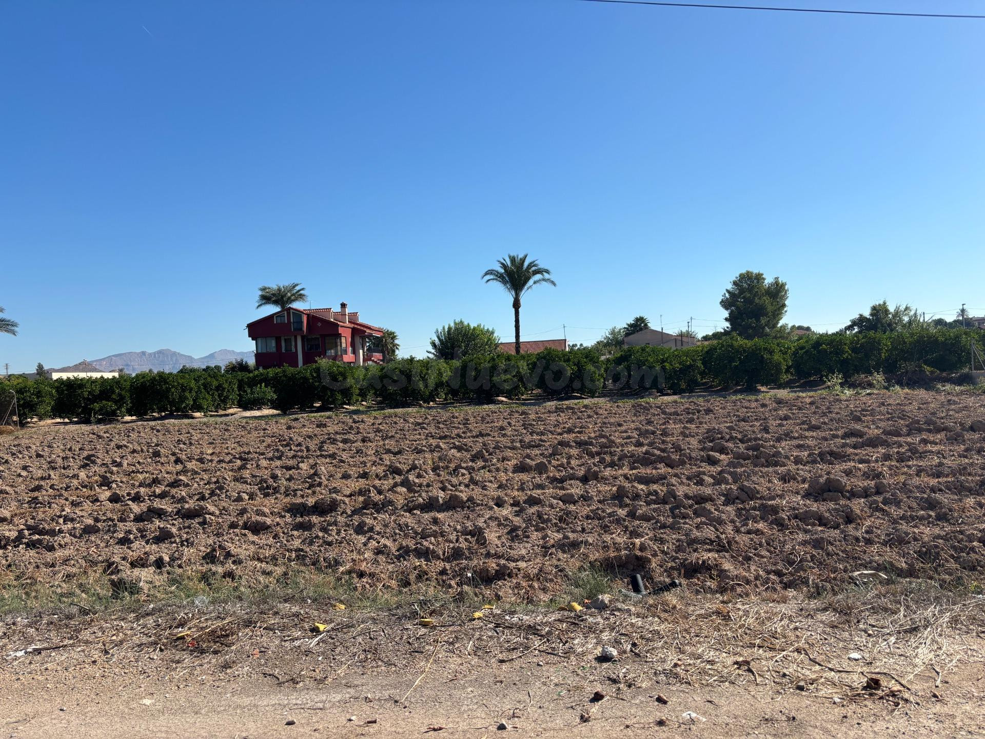 VENTA DE PARCELA RUSTICA EN CASILLAS - foto 3